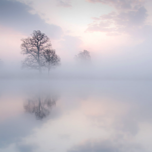 青青草成人影院
