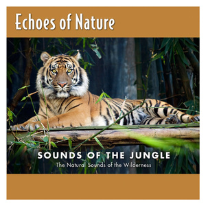 青青草成人影院
